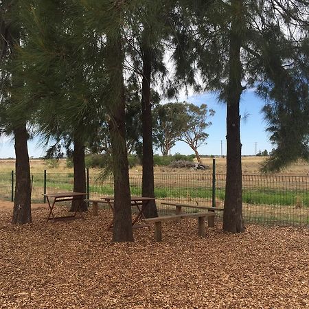 Aussie Cabins Hotel Dubbo Luaran gambar