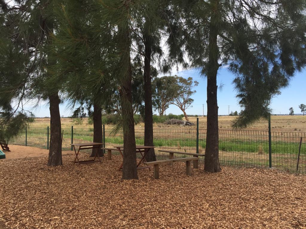 Aussie Cabins Hotel Dubbo Luaran gambar