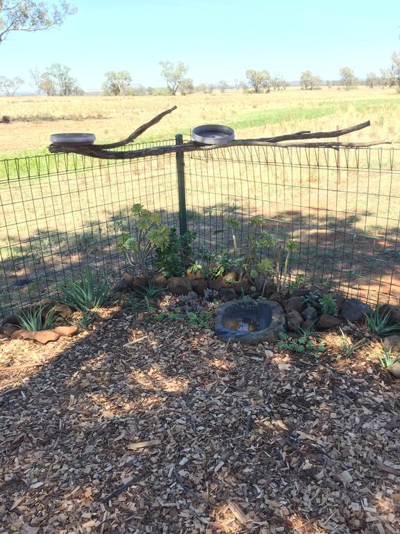 Aussie Cabins Hotel Dubbo Luaran gambar