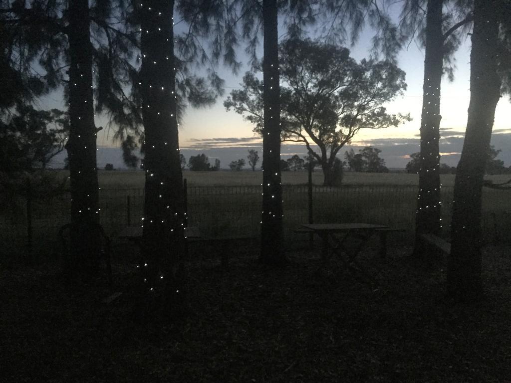 Aussie Cabins Hotel Dubbo Luaran gambar