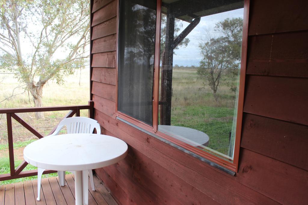 Aussie Cabins Hotel Dubbo Bilik gambar
